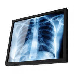 monitor4
